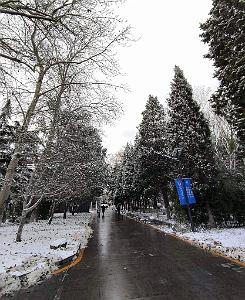 2023 12 PEKIN- UNIVERSITE LANGUES ETRANGERES SOUS LA NEIGE (8)
